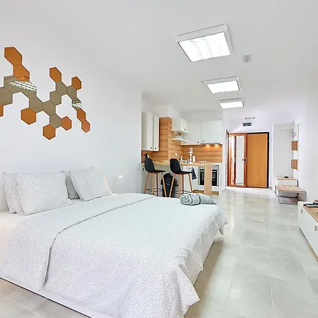 Aleksandrovi Apartament Burgas